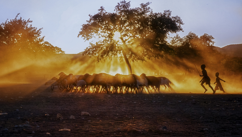 Shepherd Boy, Namibia von Lisa D. Tang