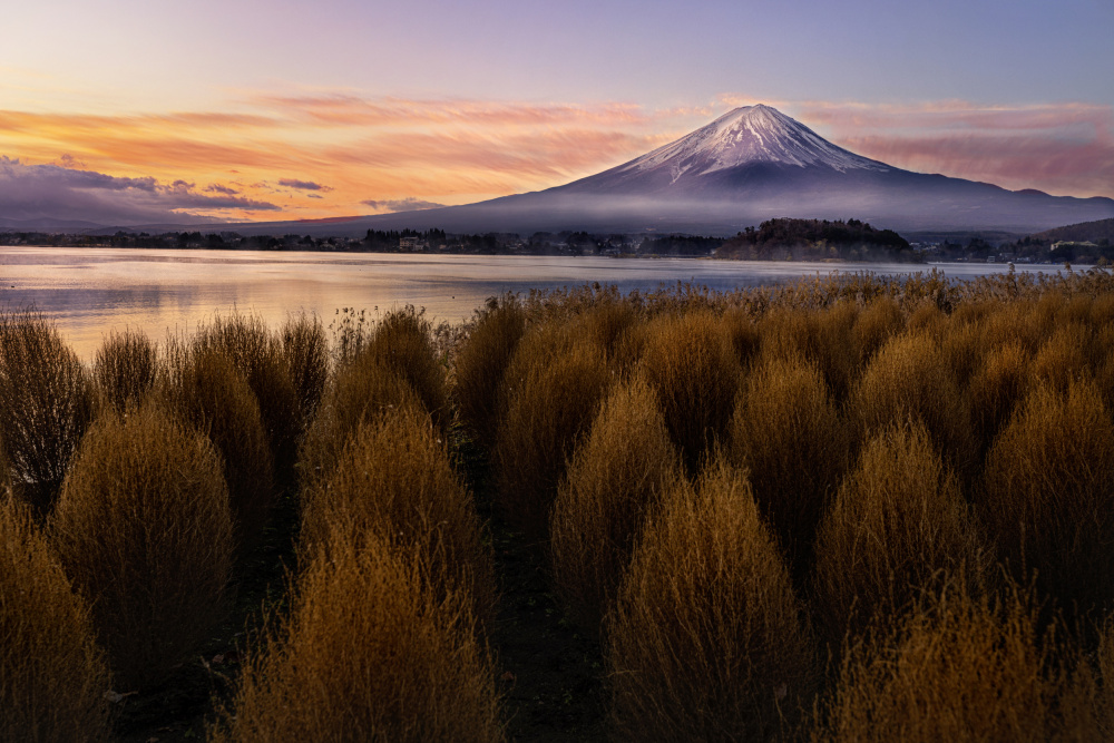 Mount Fuji at Morning von Lisa D. Tang