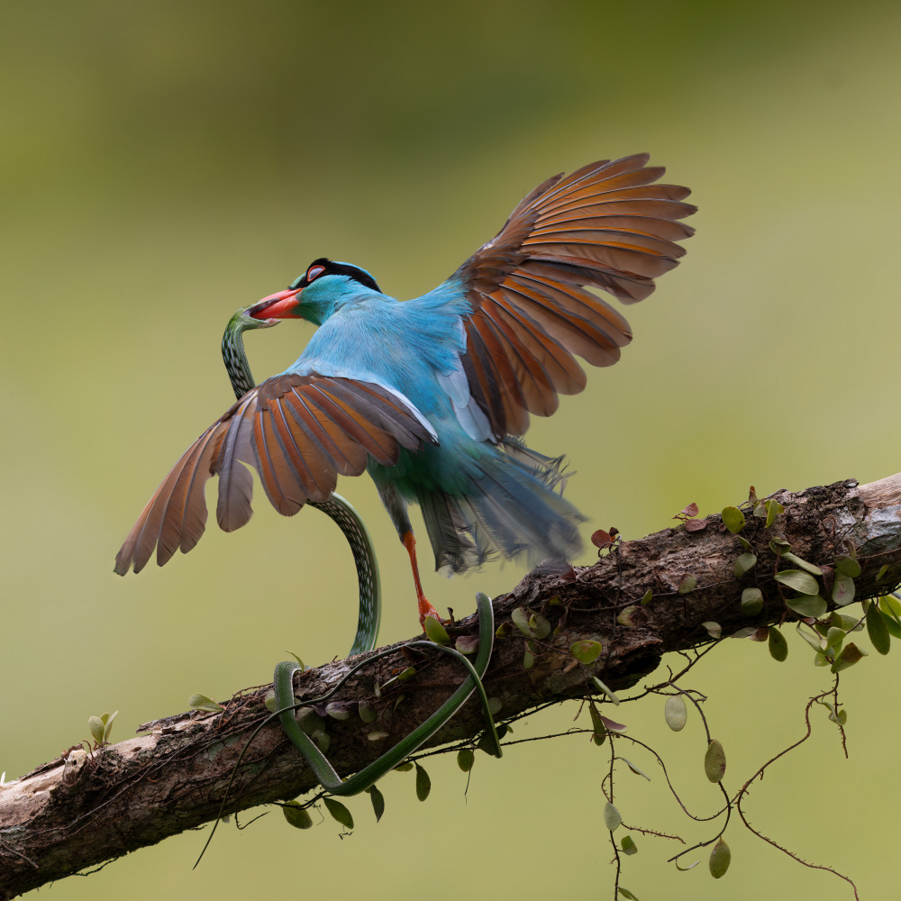 untitledl von Lisdiyanto Suhardjo