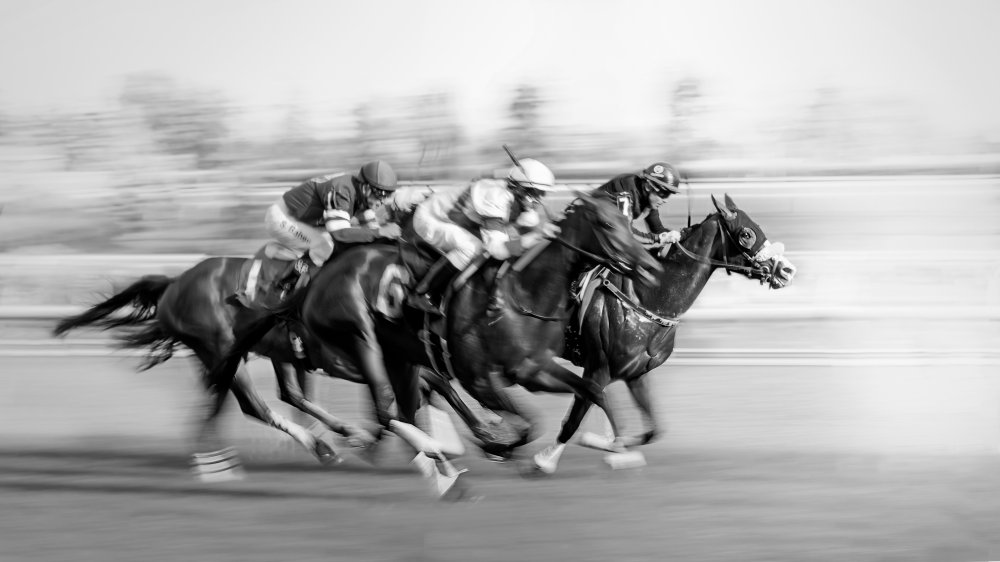 Horse Racing @ Queens Plate von little7