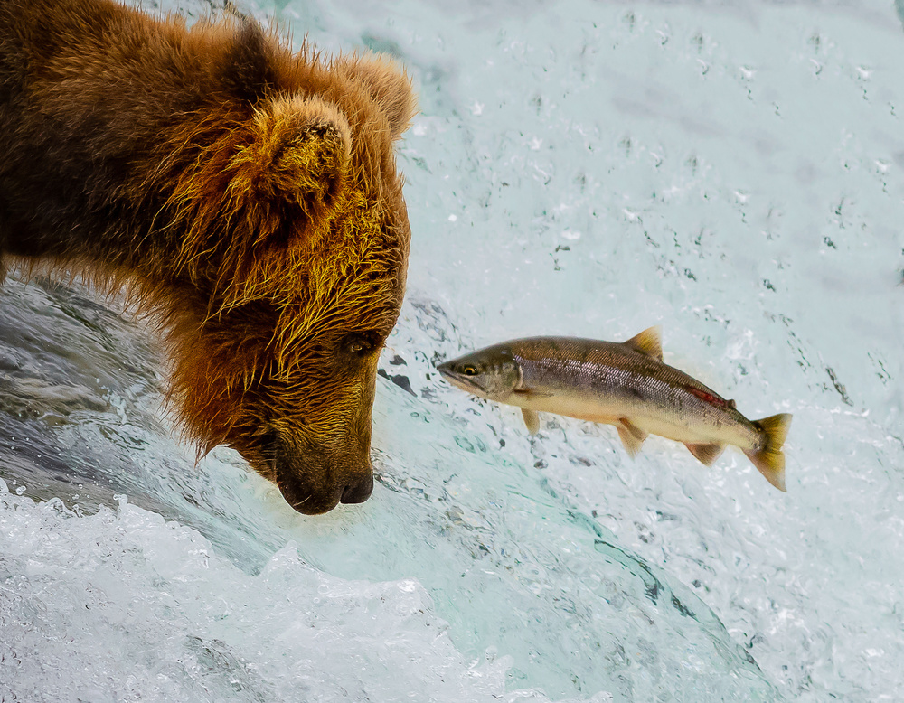 Eye to Eye von Liwen Tao