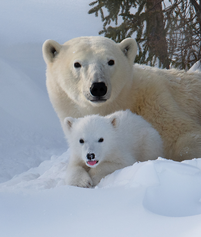 TOGETHER! von Liwen Tao