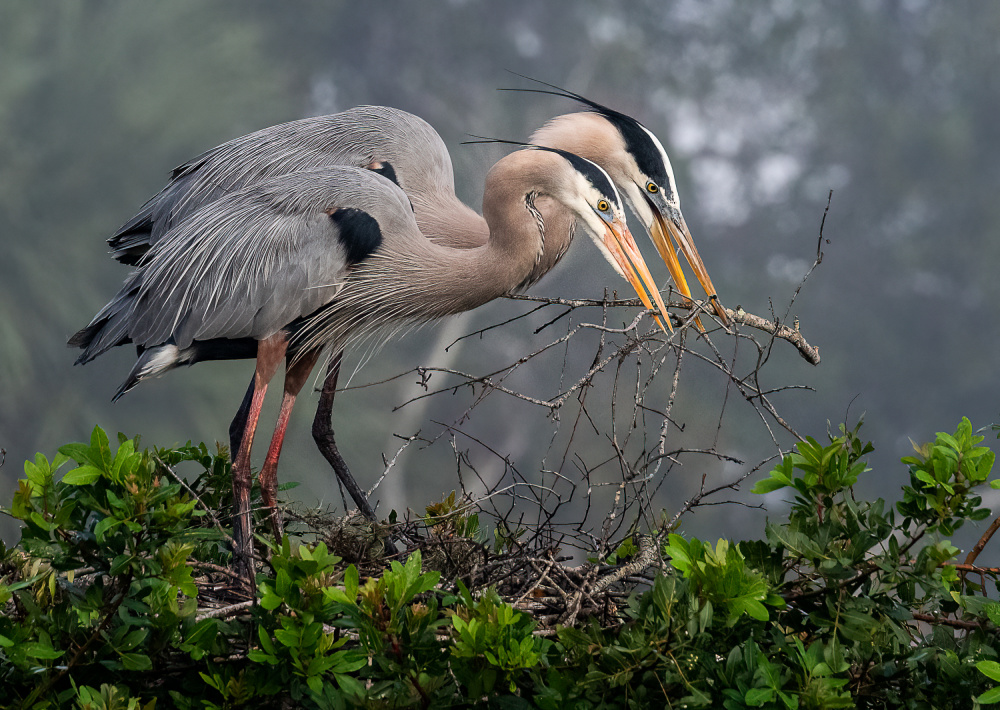 Working together von Liwen Tao