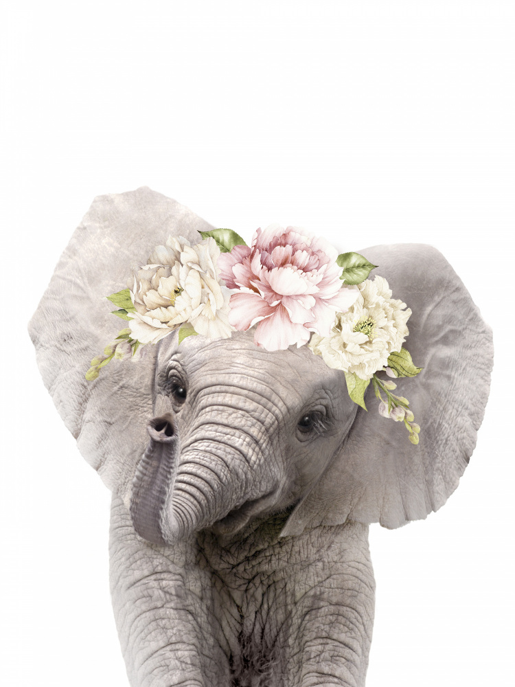 Floral Baby Elephant von Lola Peacock