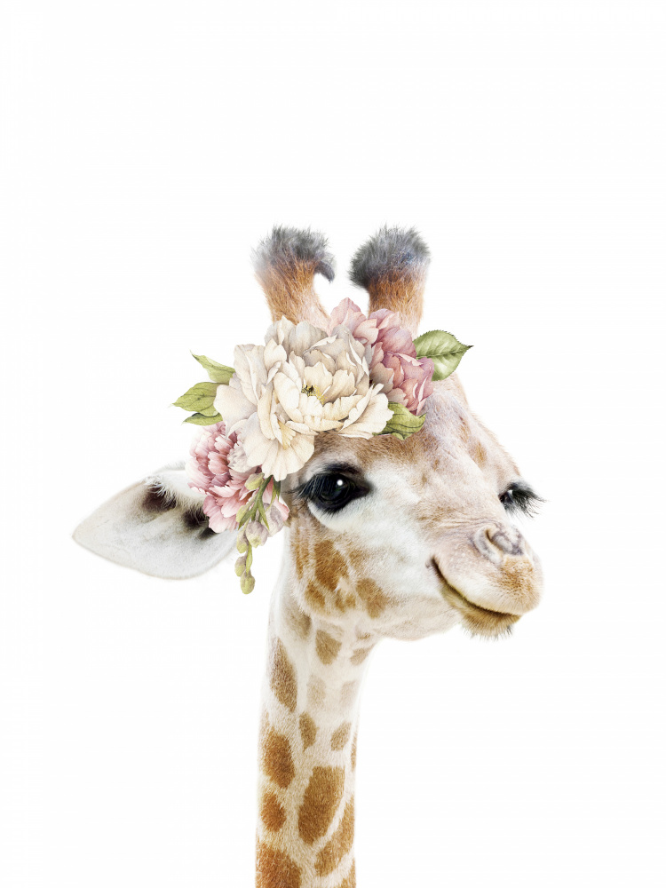 Floral Baby Giraffe von Lola Peacock