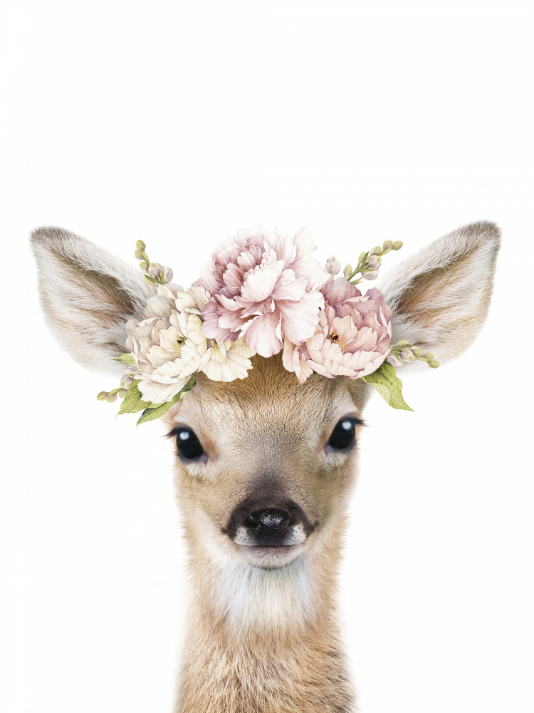 Floral Baby Deer von Lola Peacock