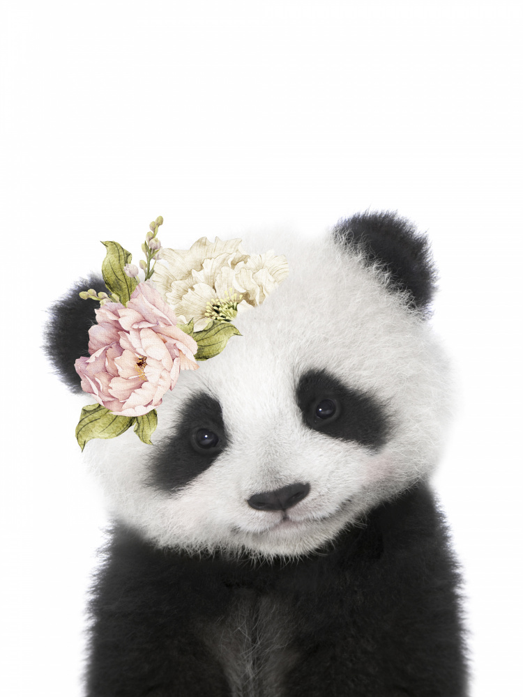 Floral Baby Panda von Lola Peacock