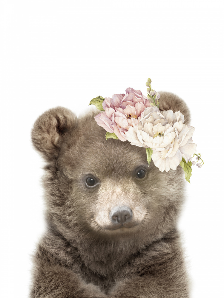 Floral Baby Bear von Lola Peacock