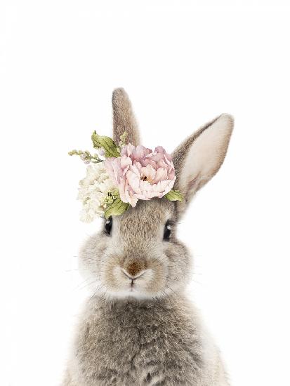 Floral Bunny