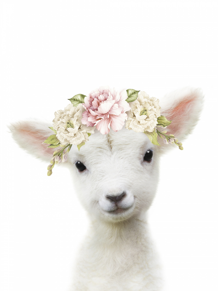 Floral Baby Sheep von Lola Peacock