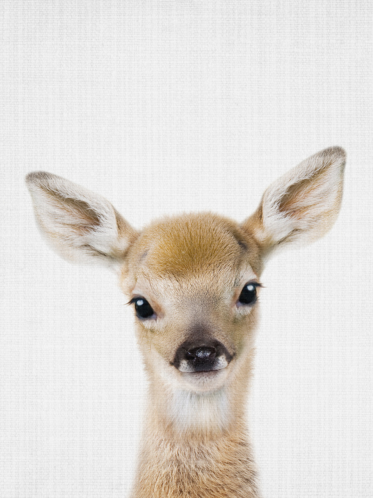 Peekaboo Baby Deer von Lola Peacock