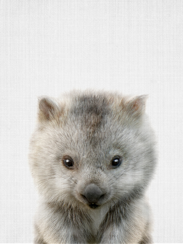 Peekaboo Baby Wombat von Lola Peacock