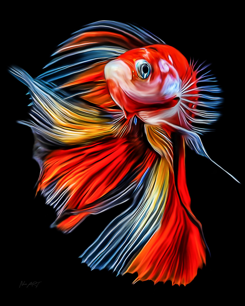 Colorful Fish von Lord Amihere