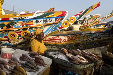 The fish monger