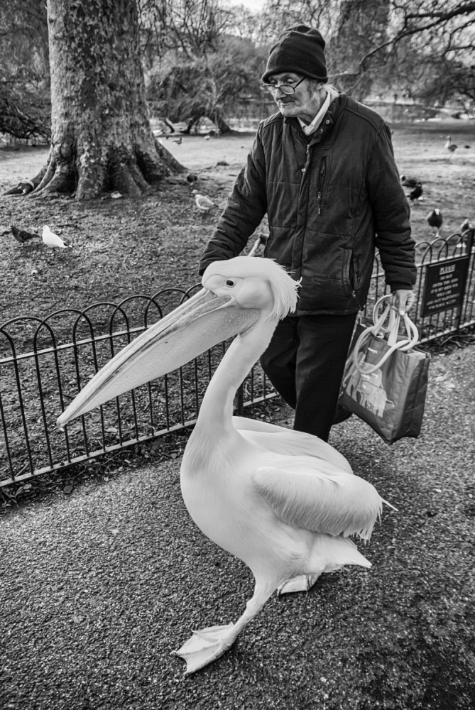 A man and his pet von Lorenzo Zaccagnini