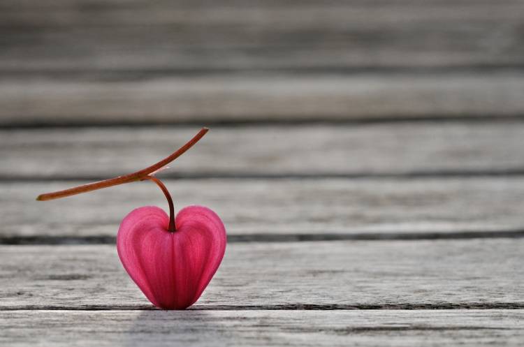 Natural heart von Lotte Gronkjaer