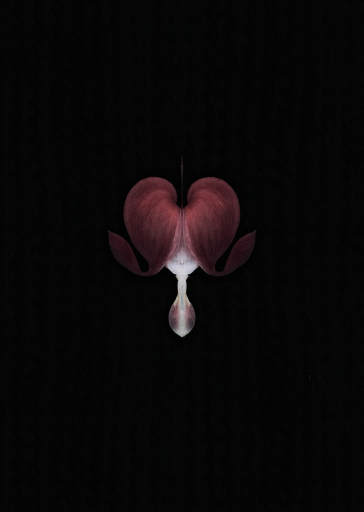 Flower heart von Lotte Grønkjær