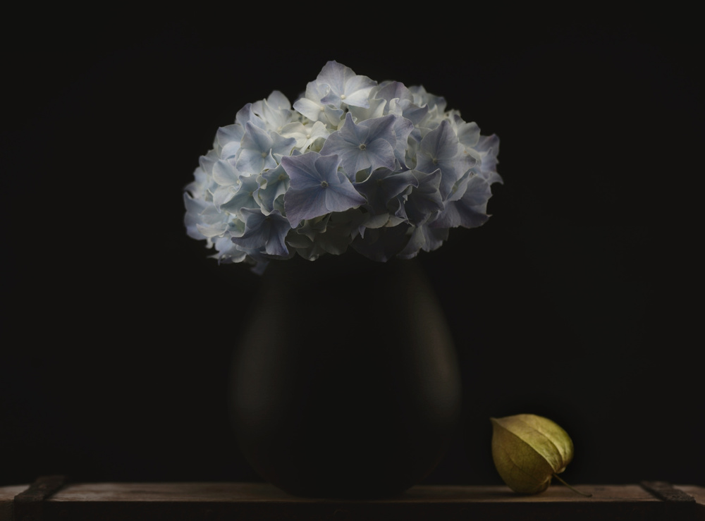 Hydrangea and vase von Lotte Grønkjær