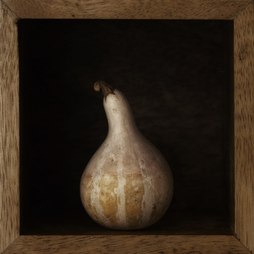 Gourd in a box von Lotte Grønkjær