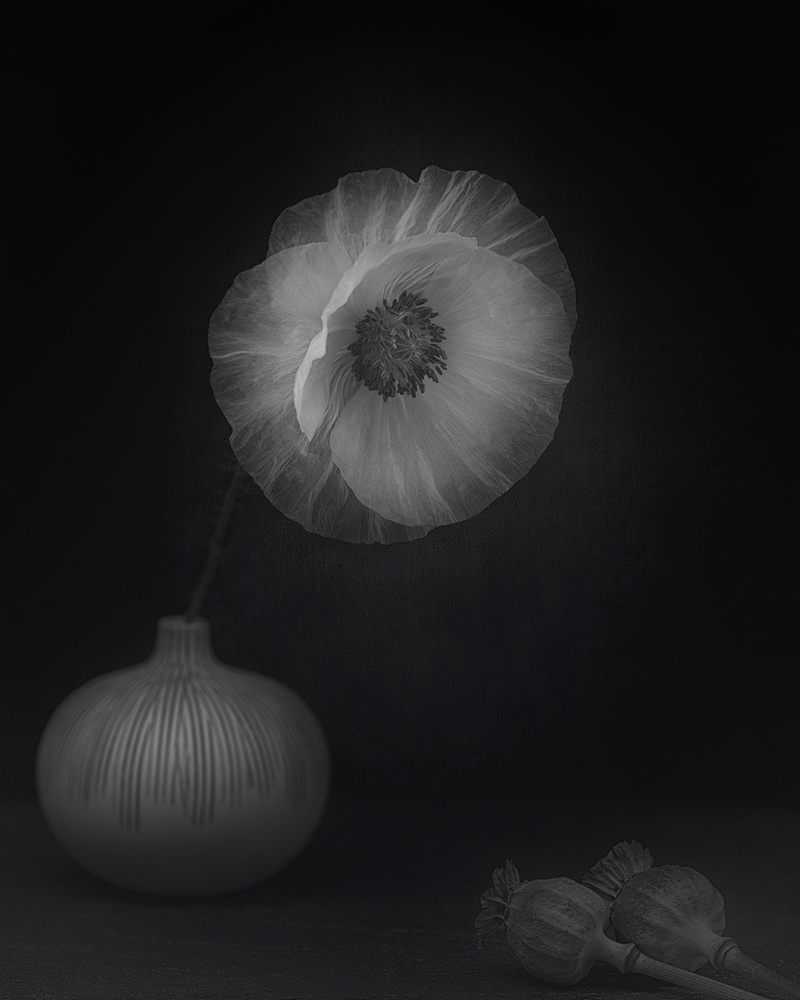 Poppies &amp; vase von Lotte Grønkjær