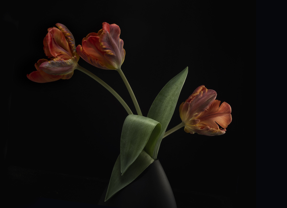 Tulips in vase von Lotte Grønkjær