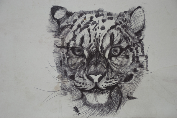 Snow Leopard von Lou  Gibbs