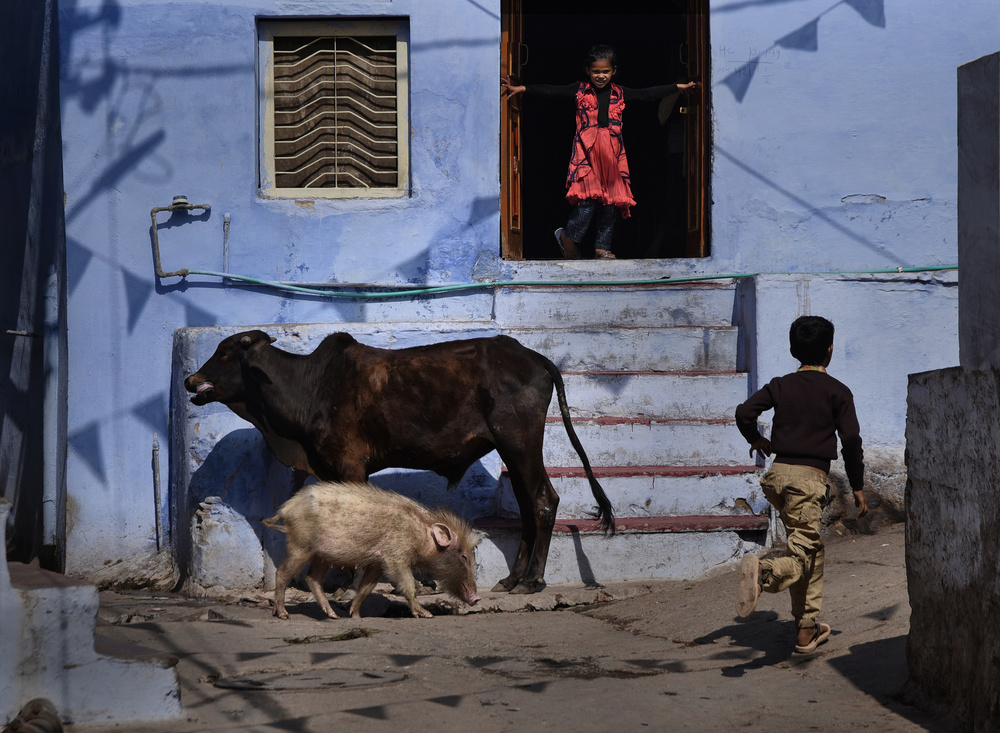 Rush hour in Bundi von Lou Urlings