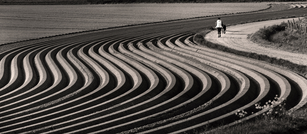 Swinging fields von Lou Urlings