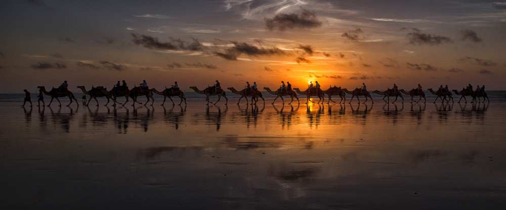 Sunset Camel Safari von Louise Wolbers