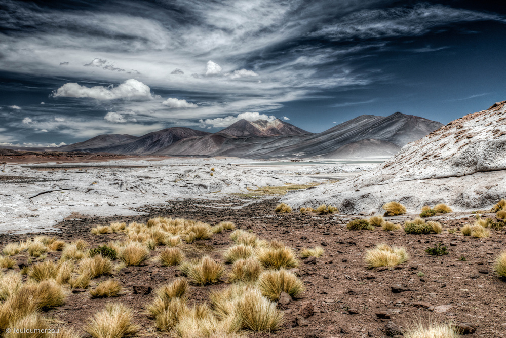 Le Salar de Talar von loulou moreau