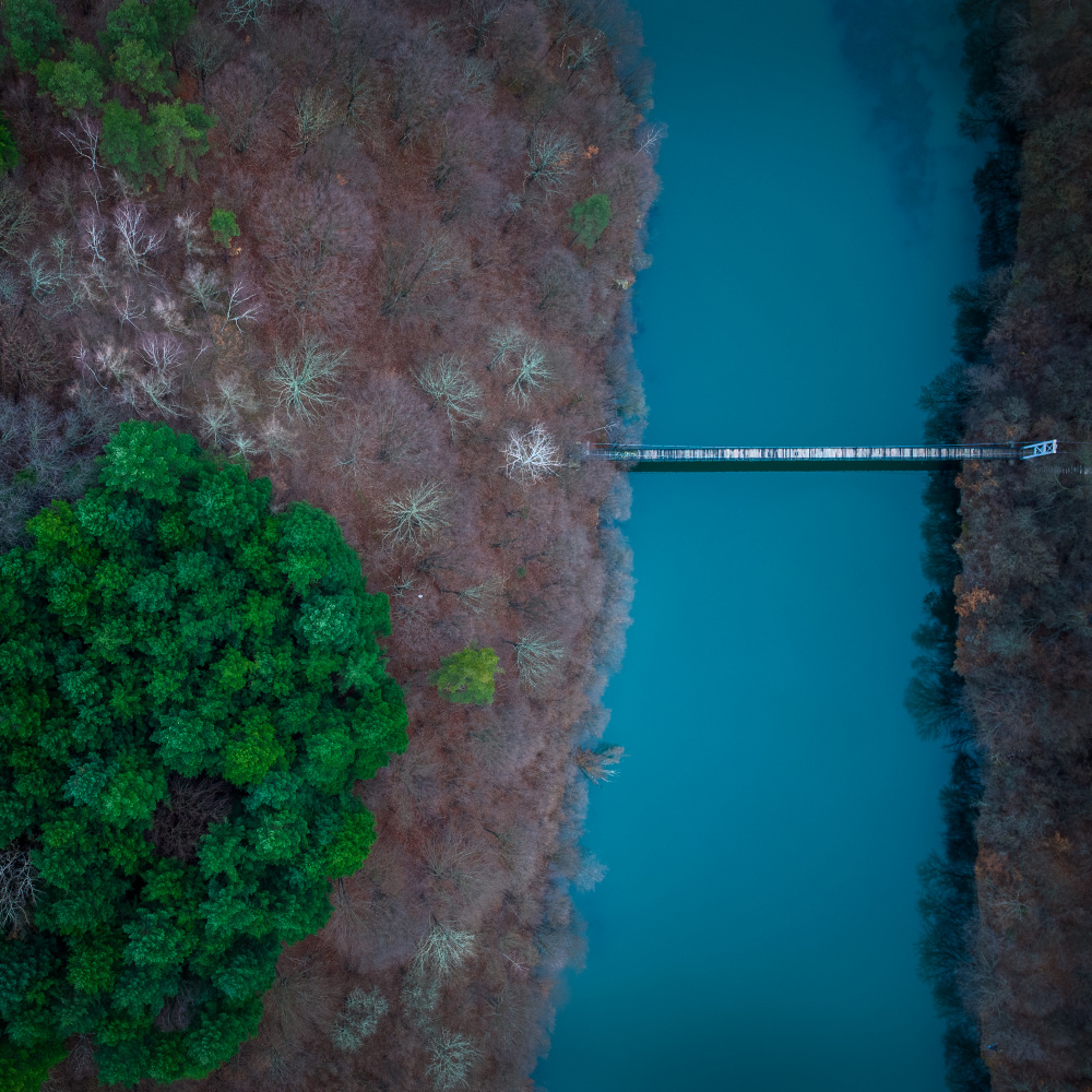 Suspended bridge near a Bulgarian village von Lubomir Vladikov