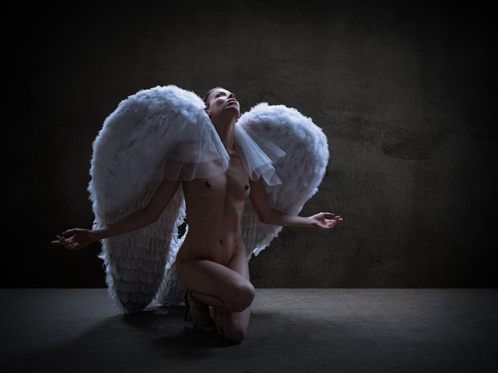 Fallen Angel von Luc Stalmans