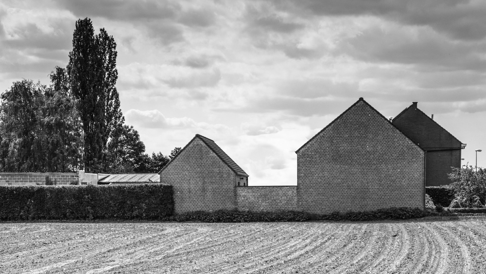 Country profiles von Luc Vangindertael (laGrange)