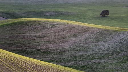 Agricultural landscape in Andalusia