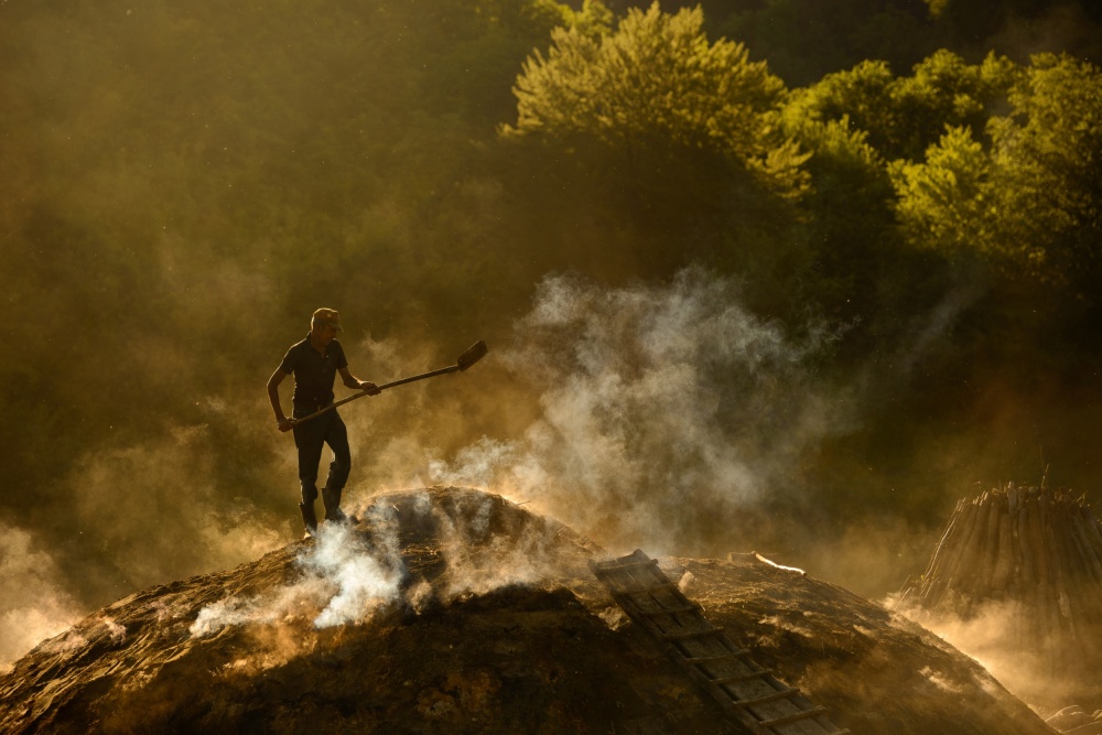 Taming the fire von Lucian Constantin