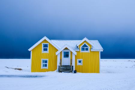 The yellow house