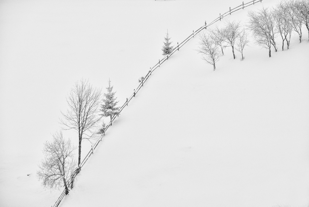 Poetry in black and white von Lucian Constantin