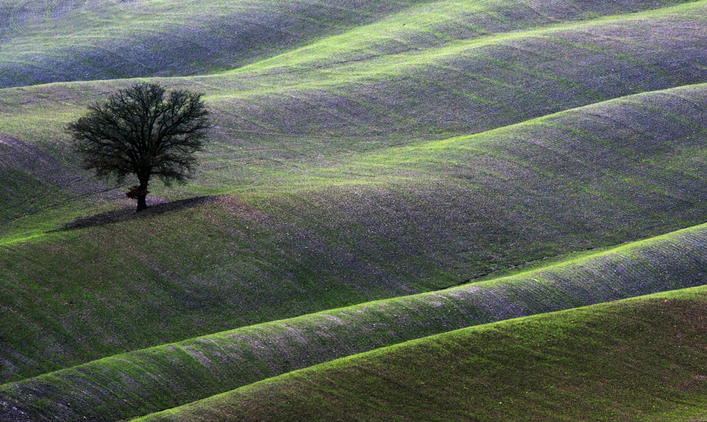 landscape von Luciano Caturegli