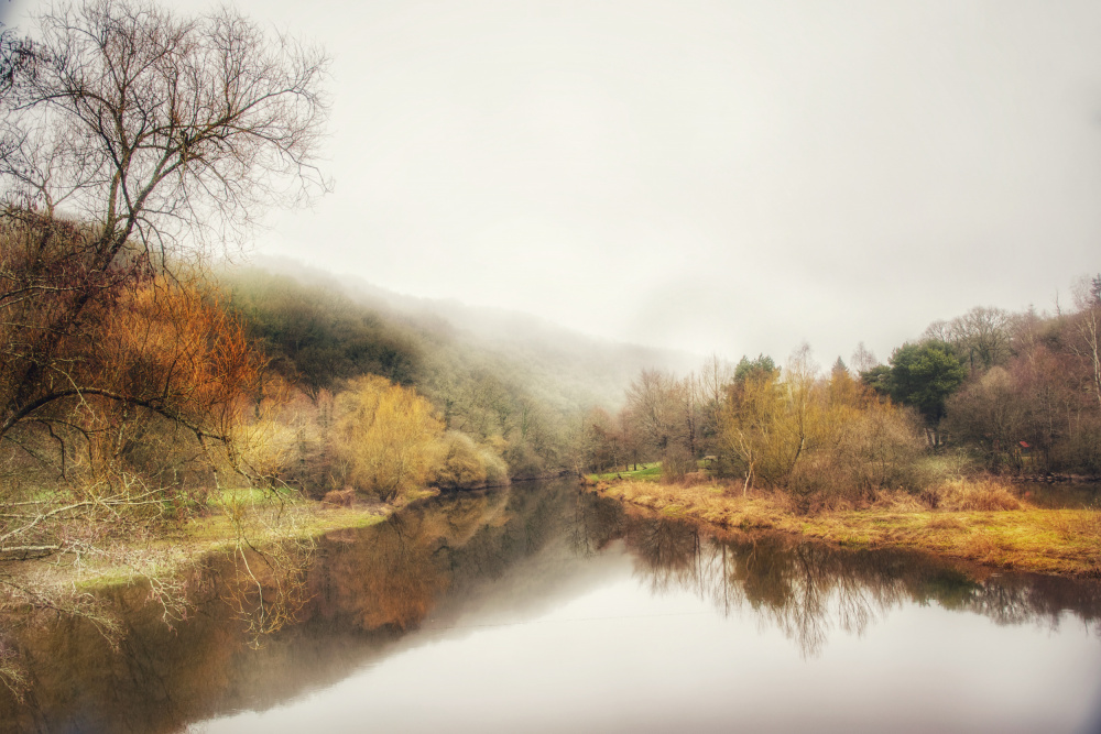 February mist von Ludmila Shumilova