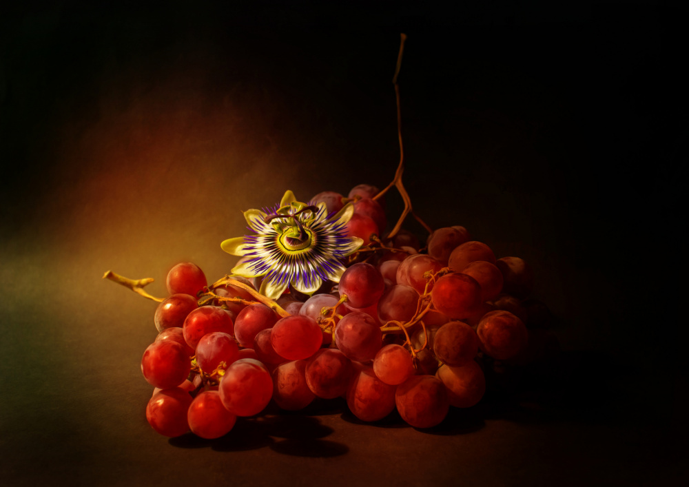 Red grapes and passion flower von Ludmila Shumilova