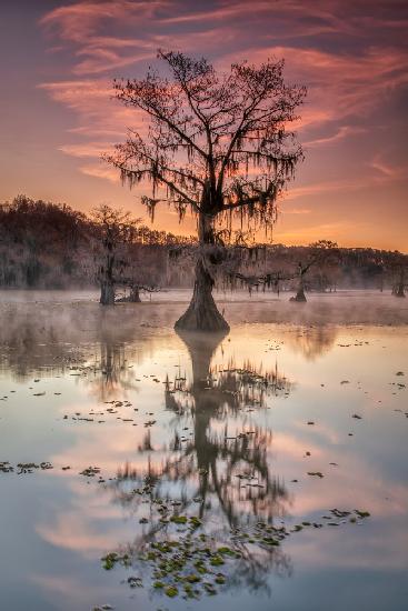 Bayou sunrise