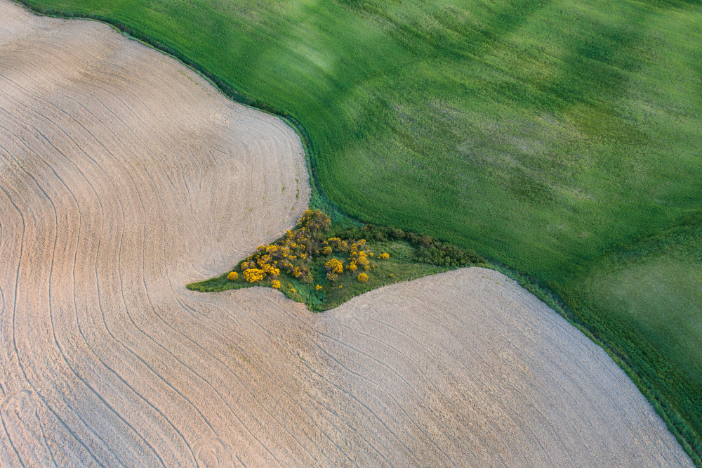 The land of Tuscany von Luigi Ruoppolo