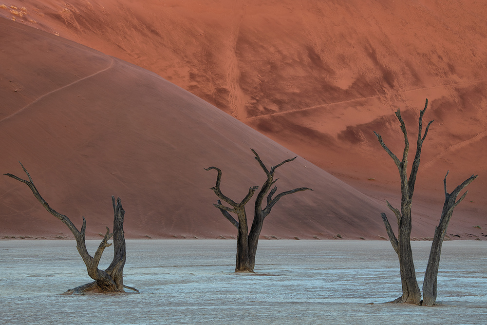 Deadvlei von Luigi Ruoppolo