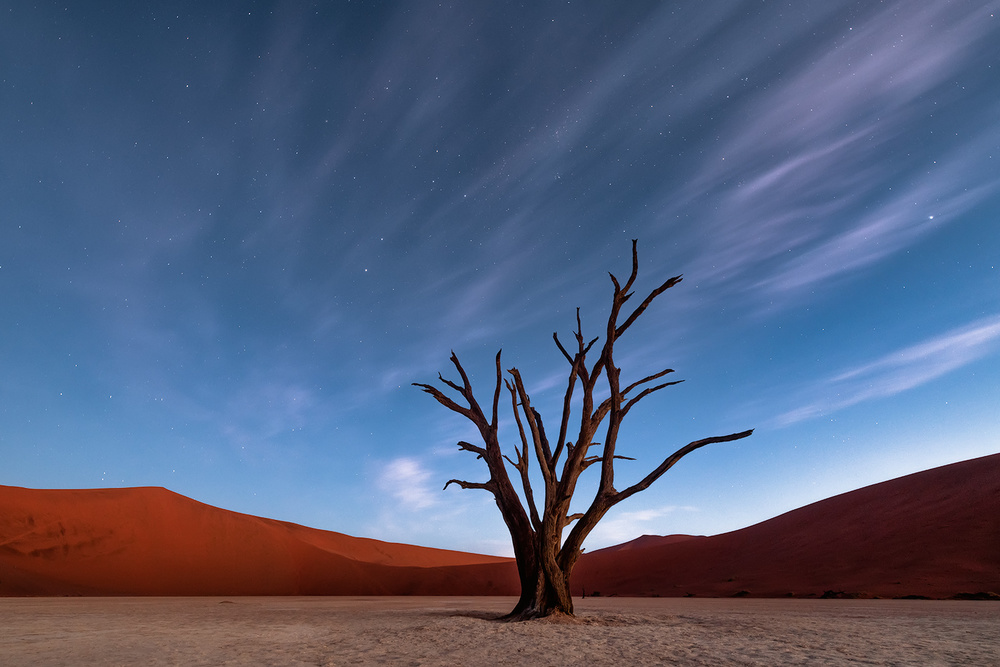 Deadvlei at dusk von Luigi Ruoppolo