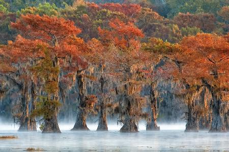 The colors of autumn