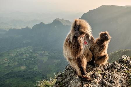 Couple on the edge