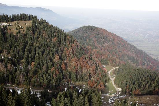 Herbstwald von Lukas Barth