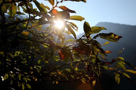 Sonnenaufgang über dem Königssee von Lukas Barth