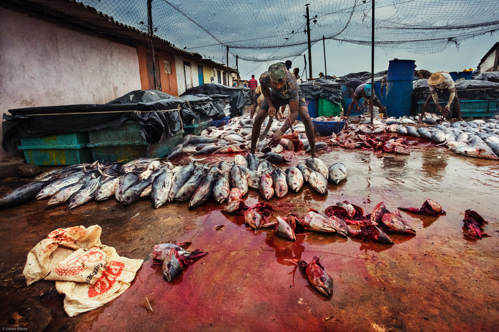 Fishermans Life von Lukasz Kaluza