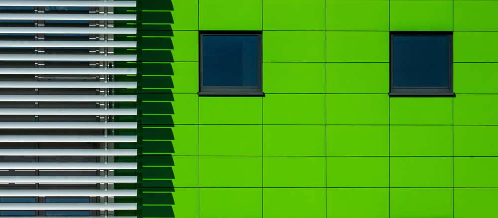 a green wall von Lus Joosten